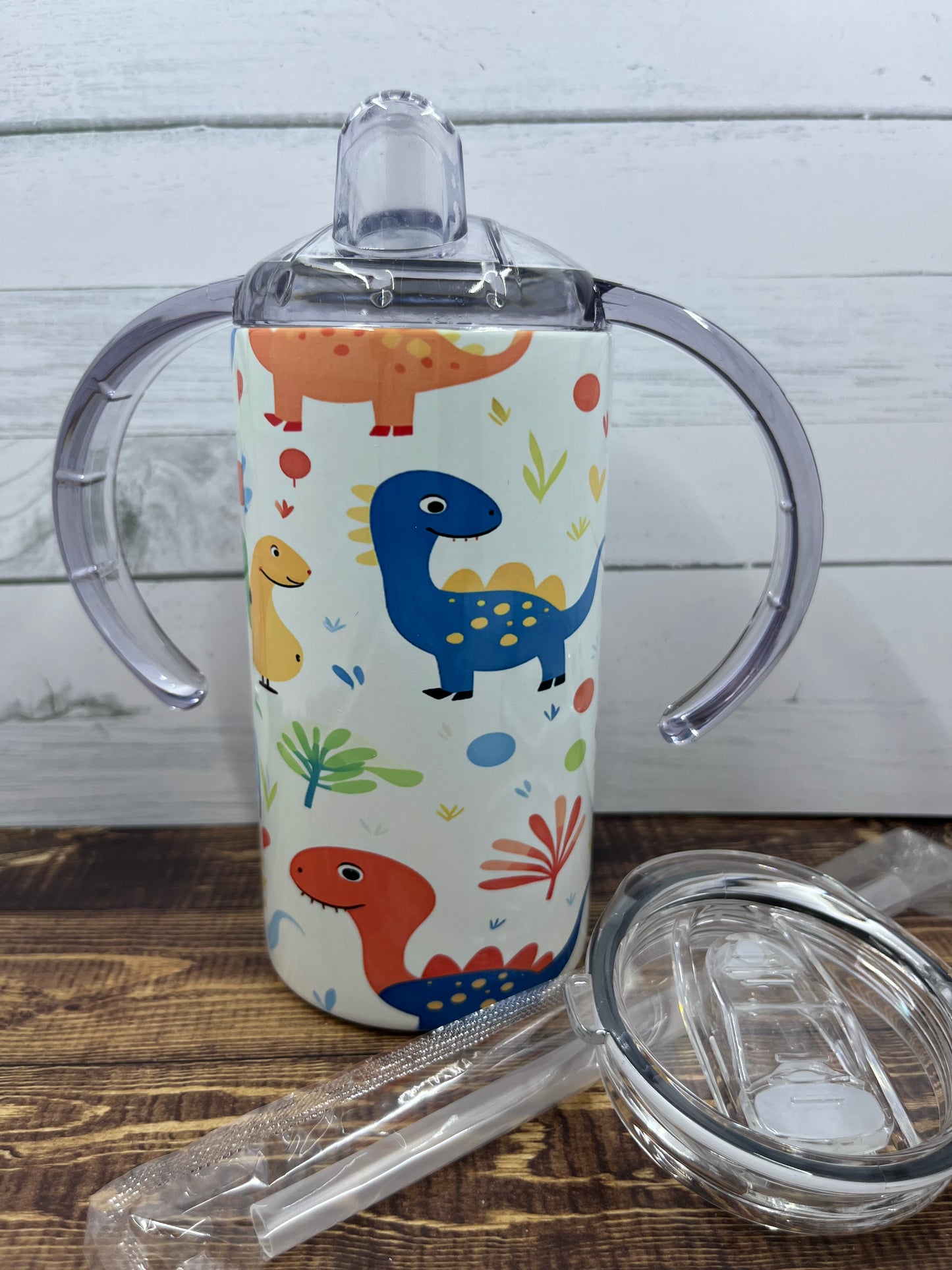 Multi-Color Dinosaur Sippy Cup